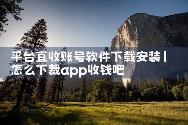 平台直收账号软件下载安装