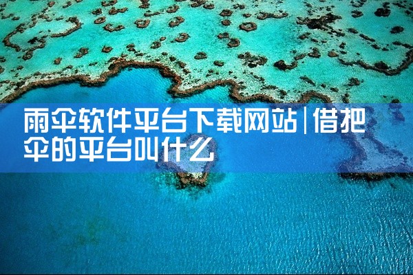 雨伞软件平台下载网站