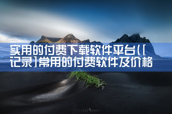 实用的付费下载软件平台