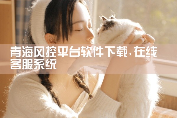 青海风控平台软件下载