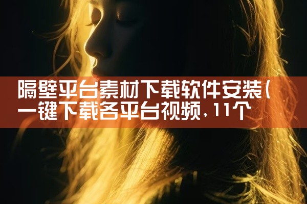 隔壁平台素材下载软件安装